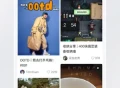 小红书 v8.84 iOS绿化版